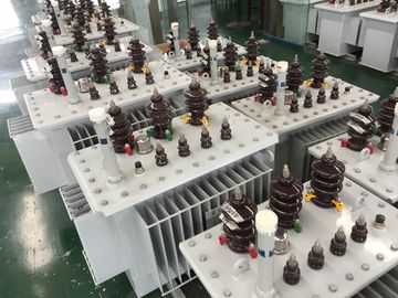 O óleo da série de S11-M imergiu transformadores de enrolamento dobro trifásicos da distribuição 20kv do transformador fornecedor