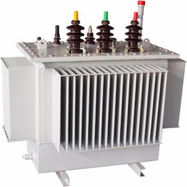 O transformador de refrigeração óleo de S13/20Kv selou inteiramente o modelo avançado imergido do óleo fornecedor