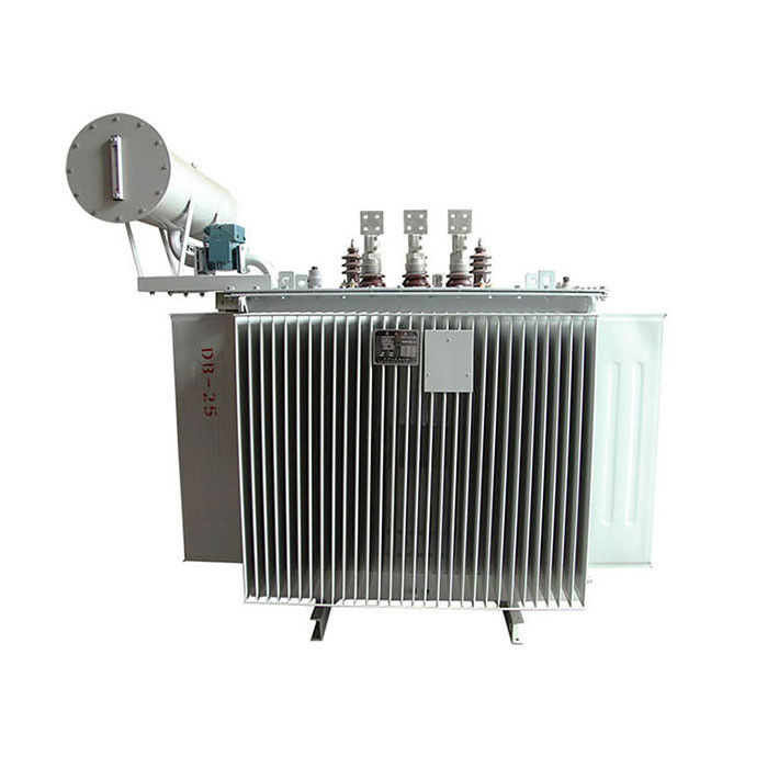 Transformador imergido óleo (100-1600) kVA para o mercado do russo, com acessórios fornecedor